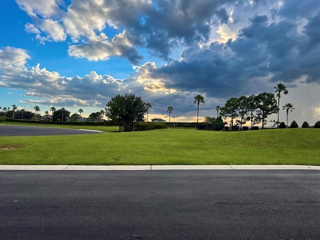 A view of a grassy vacant lot with palm trees under a cloudy sky — 103 BLAZING STAR AVENUE, LAKE ALFRED, FL