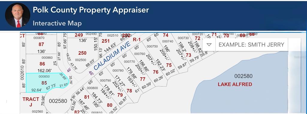 This is a property tax map showing parcel boundaries and dimensions along Caladium Avenue — 103 BLAZING STAR AVENUE, LAKE ALFRED, FL