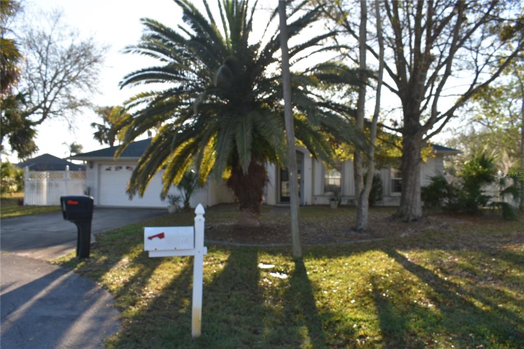 12 CLEMENT COURT