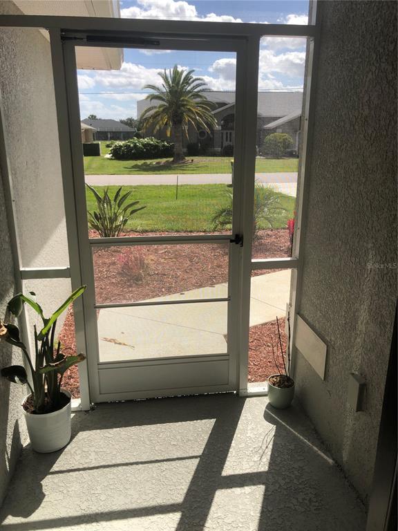 A view through a screen door looking out onto a residential lawn with a palm tree — 26332 BARRANQUILLA AVENUE, PUNTA GORDA, FL
