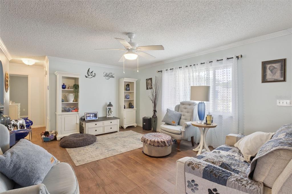 A living room features light blue walls, wood-look flooring, a ceiling fan, and white furniture — 17841 SE 106TH COURT, SUMMERFIELD, FL