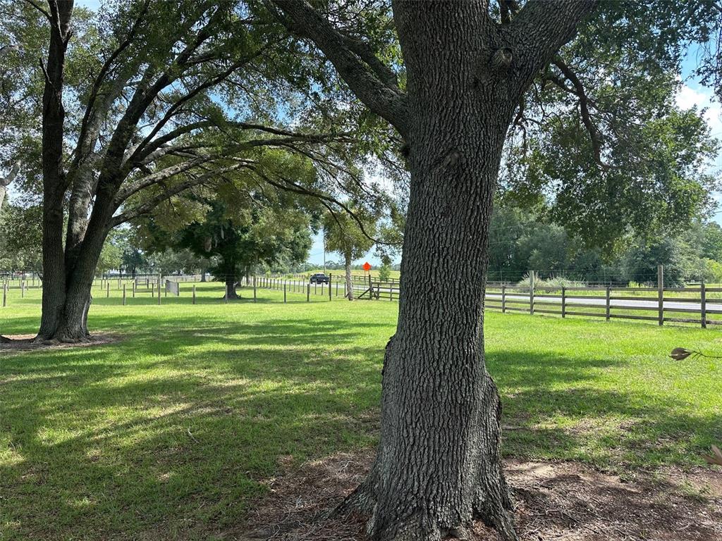 A large oak tree stands in a grassy field enclosed by a wooden fence — 905 NW 80TH AVENUE, OCALA, FL