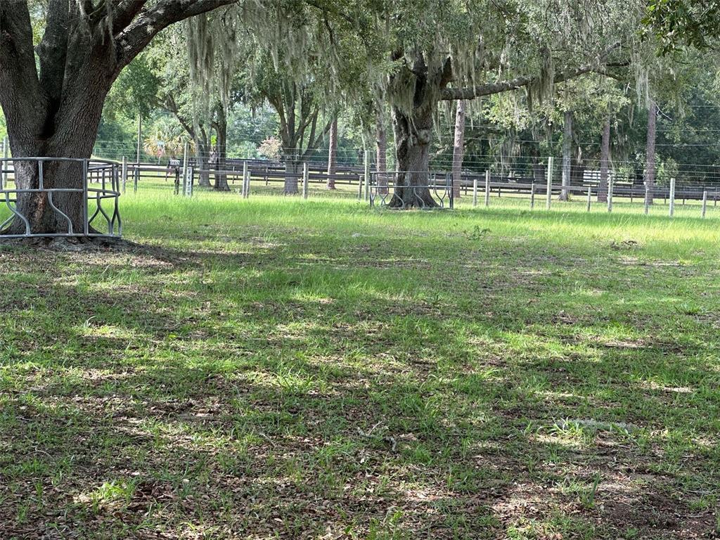 A grassy pasture features large oak trees with Spanish moss and metal livestock fencing — 905 NW 80TH AVENUE, OCALA, FL