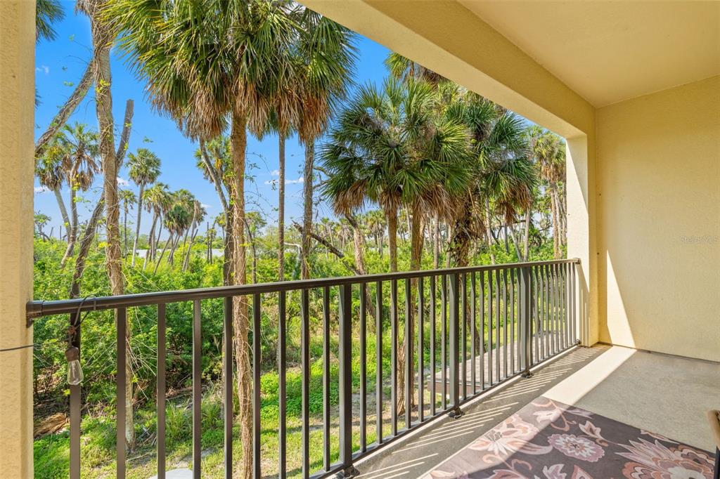 A covered balcony with a metal railing overlooks a dense forest of palm trees — 4720 TUSCAN LOON DRIVE, TAMPA, FL