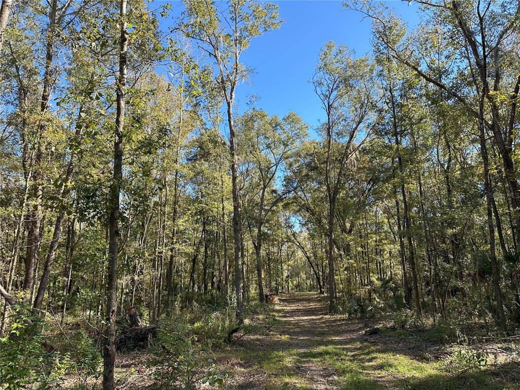 55ac W HWY 318, REDDICK, FL — photo 2 of 10