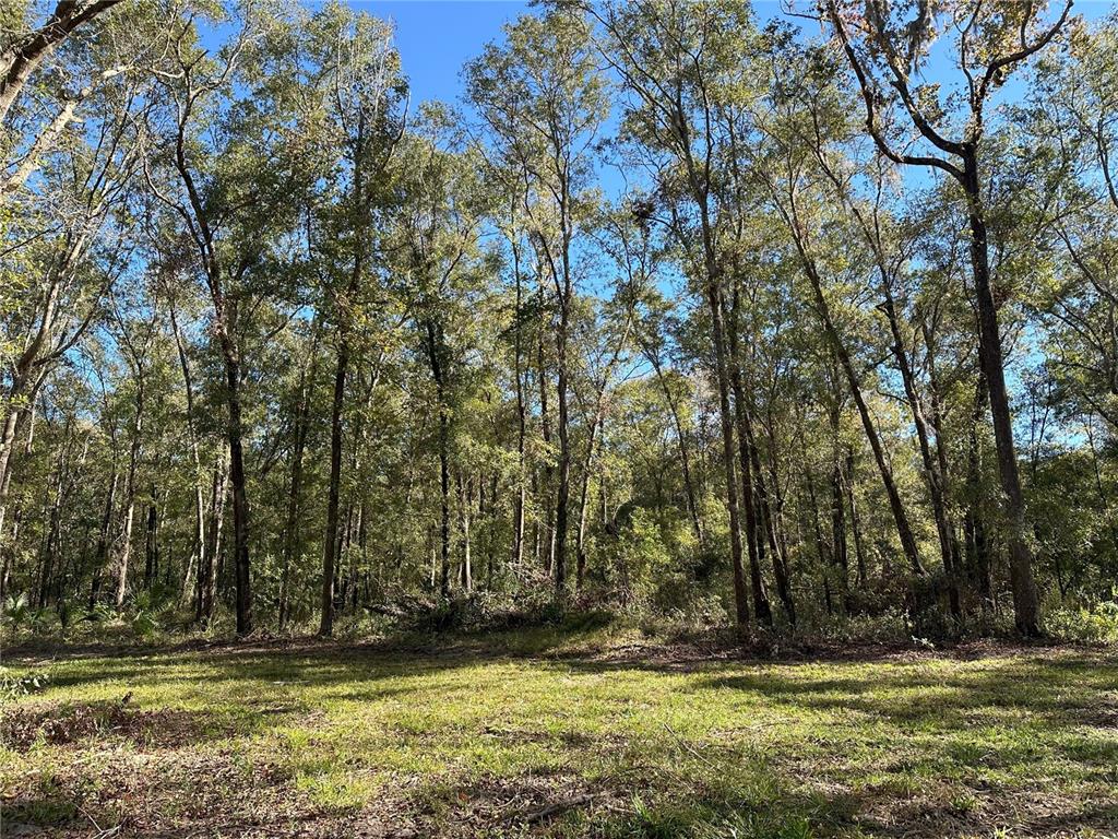 55ac W HWY 318, REDDICK, FL — photo 3 of 10