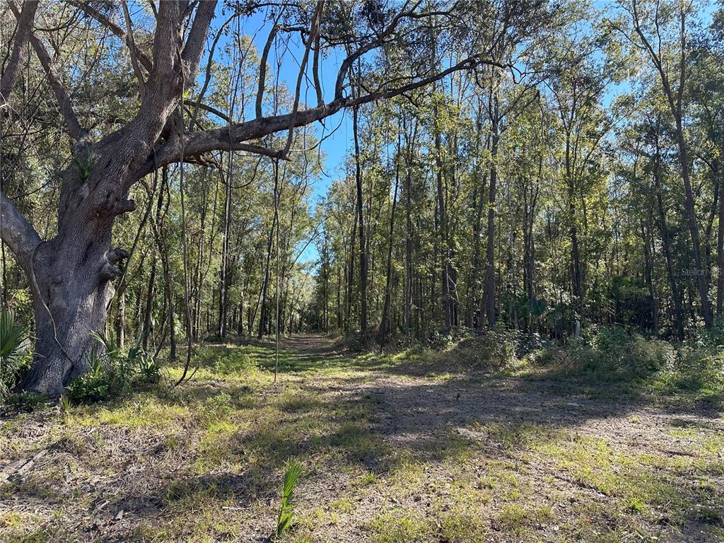 55ac W HWY 318, REDDICK, FL — photo 4 of 10
