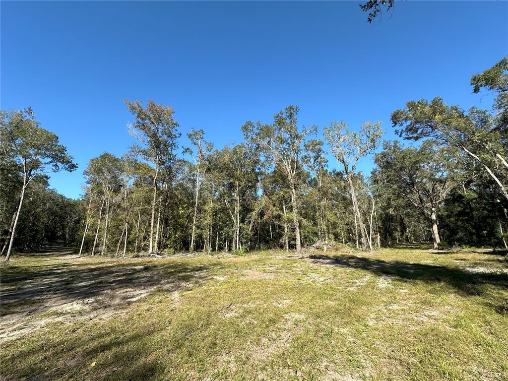 55ac W HWY 318, REDDICK, FL — photo 5 of 10
