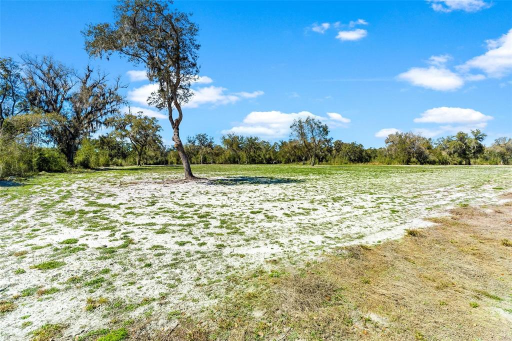 A large, flat, sandy field features scattered trees under a bright blue sky — 1428 OXFORD PRESERVE TRAIL, OXFORD, FL