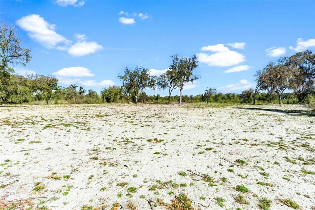 A flat, sandy, open lot with scattered trees under a bright blue sky — 1428 OXFORD PRESERVE TRAIL, OXFORD, FL