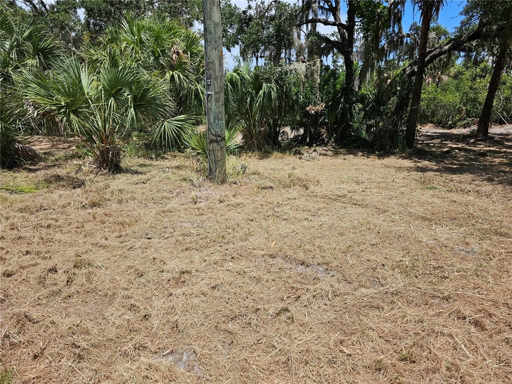 A utility pole stands in a cleared, grassy lot surrounded by trees and palm bushes — 2504, 2506, and 2508 RIVER BEND DRIVE, RUSKIN, FL