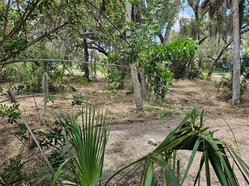 A wooded, partially cleared residential lot with sandy soil and various trees and palms — 2504, 2506, and 2508 RIVER BEND DRIVE, RUSKIN, FL