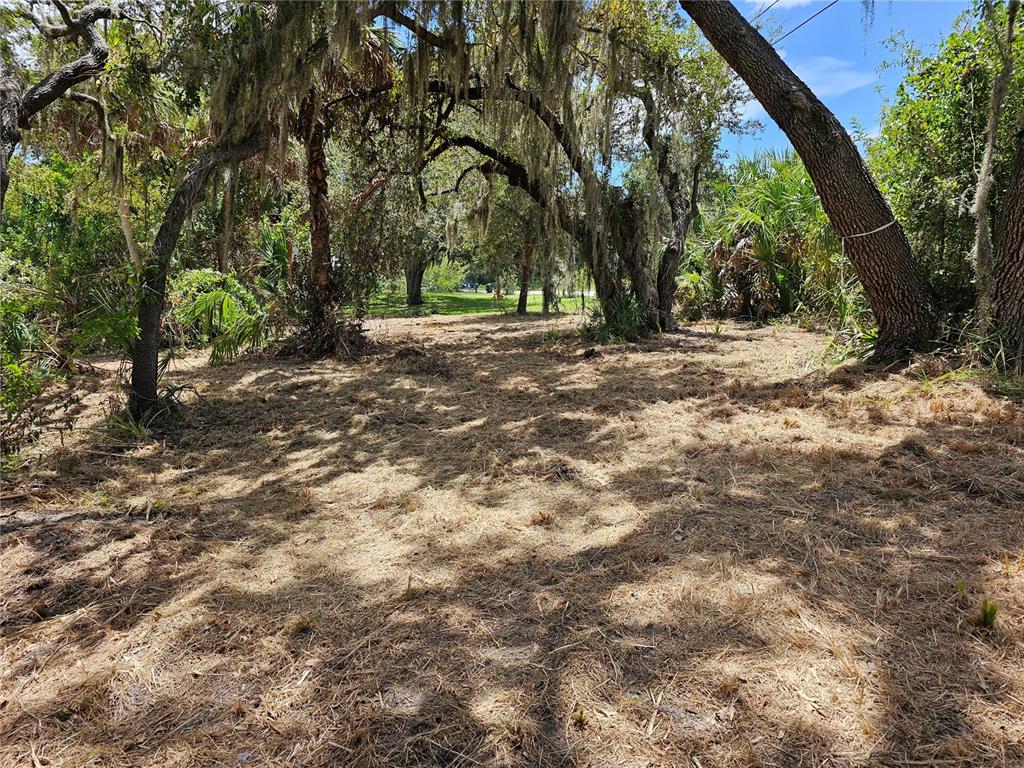 A wooded, grassy lot features several large trees with hanging Spanish moss — 2504, 2506, and 2508 RIVER BEND DRIVE, RUSKIN, FL