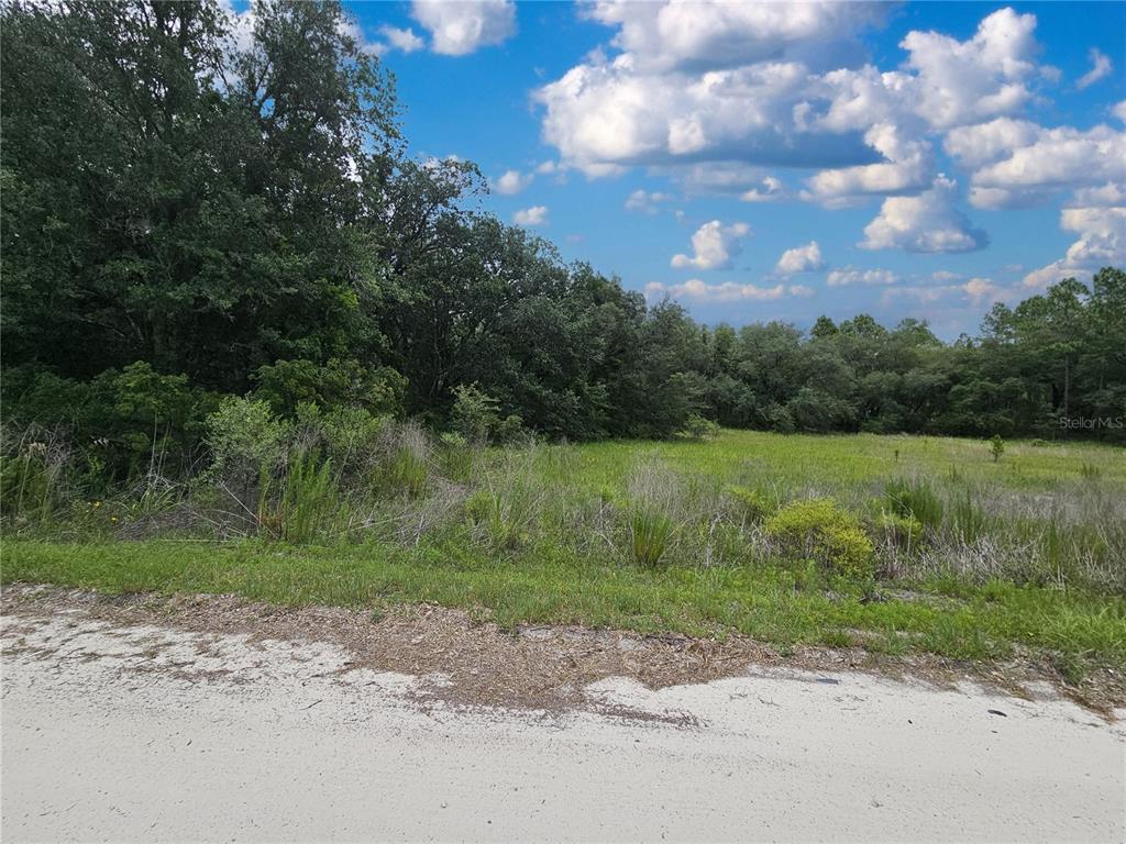 A grassy, undeveloped lot sits adjacent to a sandy road near a wooded area — 11751 SE 57TH STREET, MORRISTON, FL