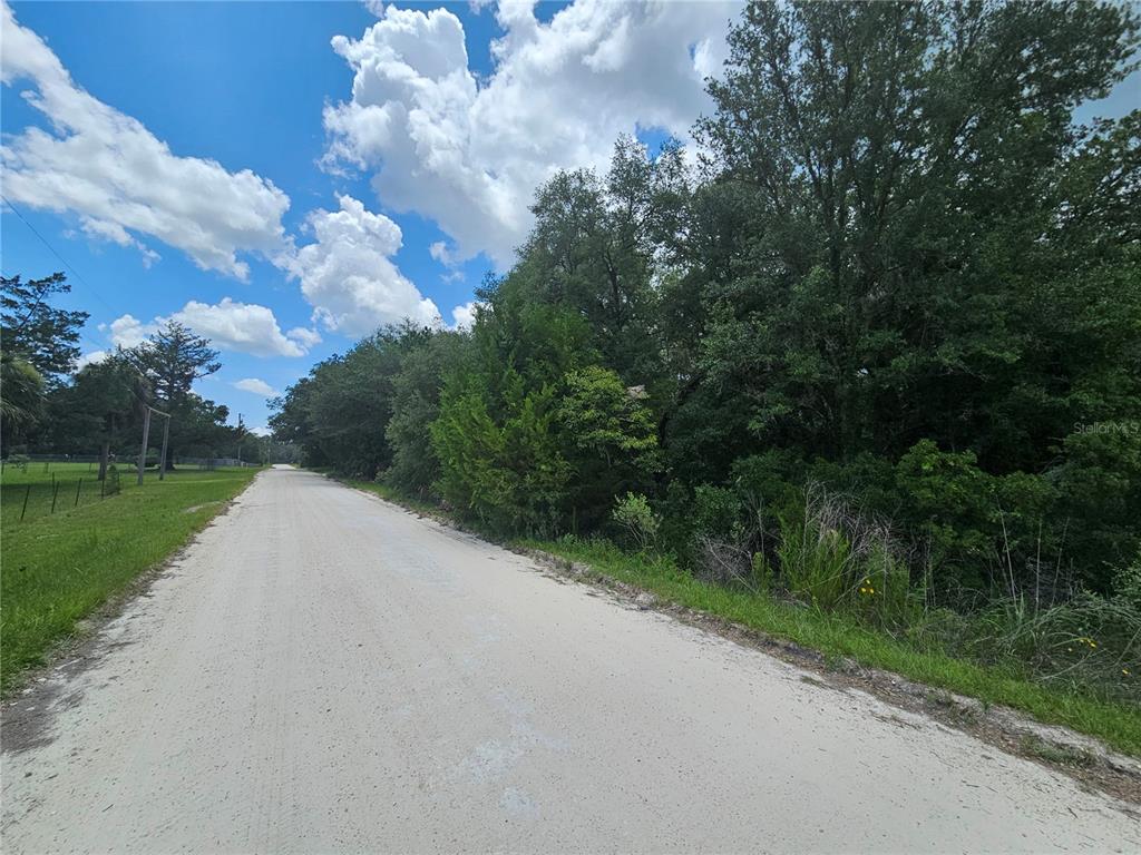 A dirt road runs alongside a dense wooded area under a blue sky with clouds — 11751 SE 57TH STREET, MORRISTON, FL