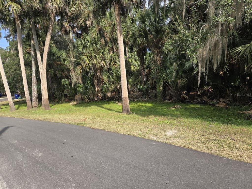 447 WARRIOR TRAIL