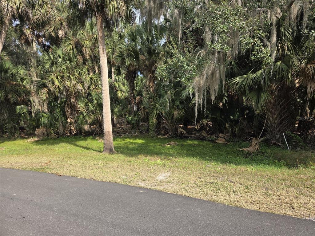 A paved road runs along the front of a wooded lot with dense tropical vegetation — 447 WARRIOR TRAIL, DELTONA, FL