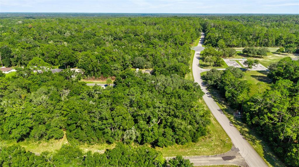 An aerial view shows a paved road winding through a dense, wooded residential area — 11023 N GLENDA TERRACE, DUNNELLON, FL