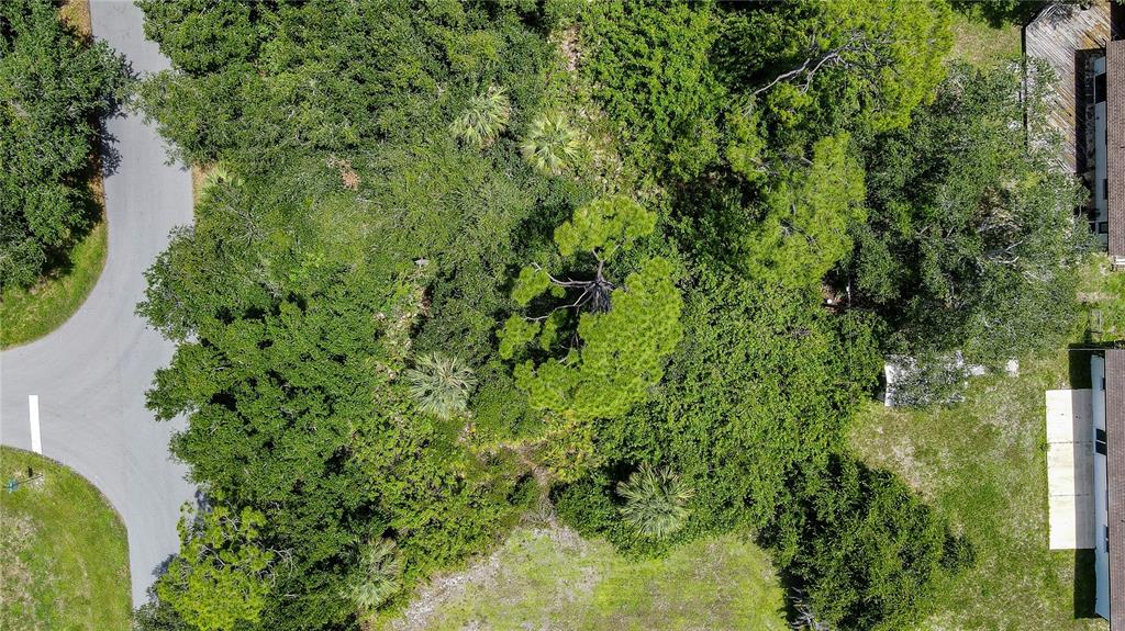An aerial view shows a wooded lot situated between a paved road and a residential building — 3388 HAMPTON STREET, PORT CHARLOTTE, FL
