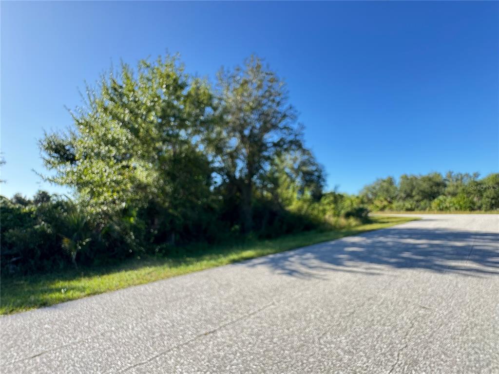 A paved road curves past a wooded lot with trees and shrubs under a clear sky — 13125 REVELL LANE, PORT CHARLOTTE, FL