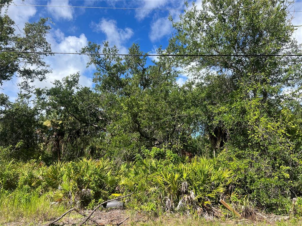 163 HARDEE WAY, ROTONDA WEST, FL — photo 2 of 3