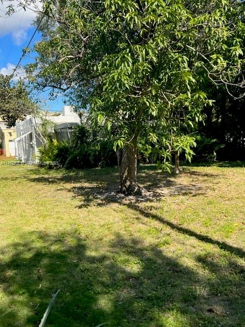 A large tree stands in a grassy yard in front of a white house — 821 NE 120th St, Biscayne Park FL 33161, BISCAYNE PARK, FL