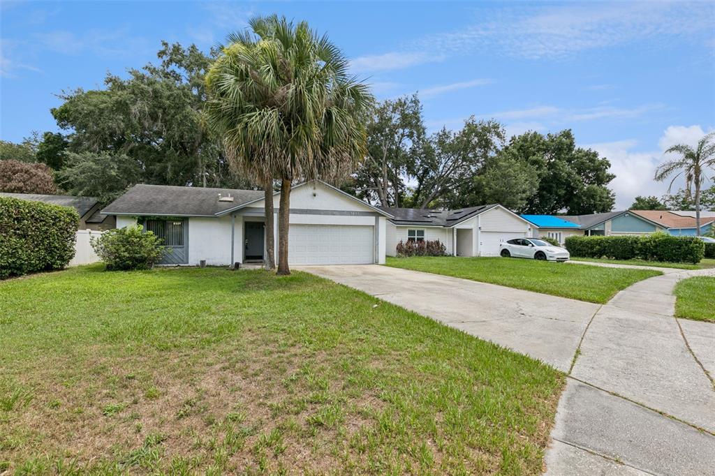 A single-story white house with a two-car garage and a large palm tree in front — 3455 JUJUBE DRIVE, ORLANDO, FL