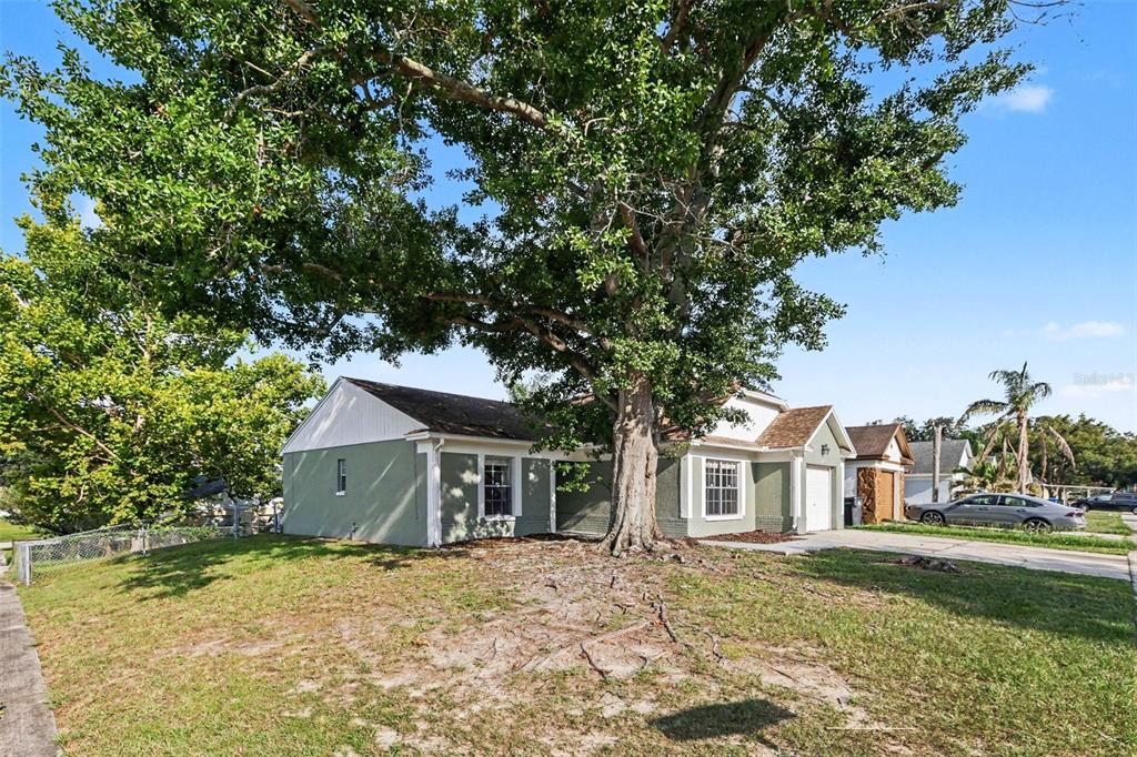 A single-story house with a large tree in the front yard under a blue sky — 301 REGAL PARK DRIVE, VALRICO, FL