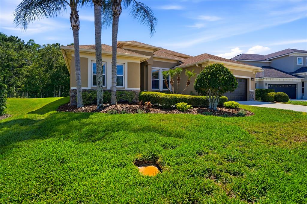 An aerial view shows a tan, two-story suburban house with a brown shingled roof — 3320 GRASSGLEN PLACE, WESLEY CHAPEL, FL