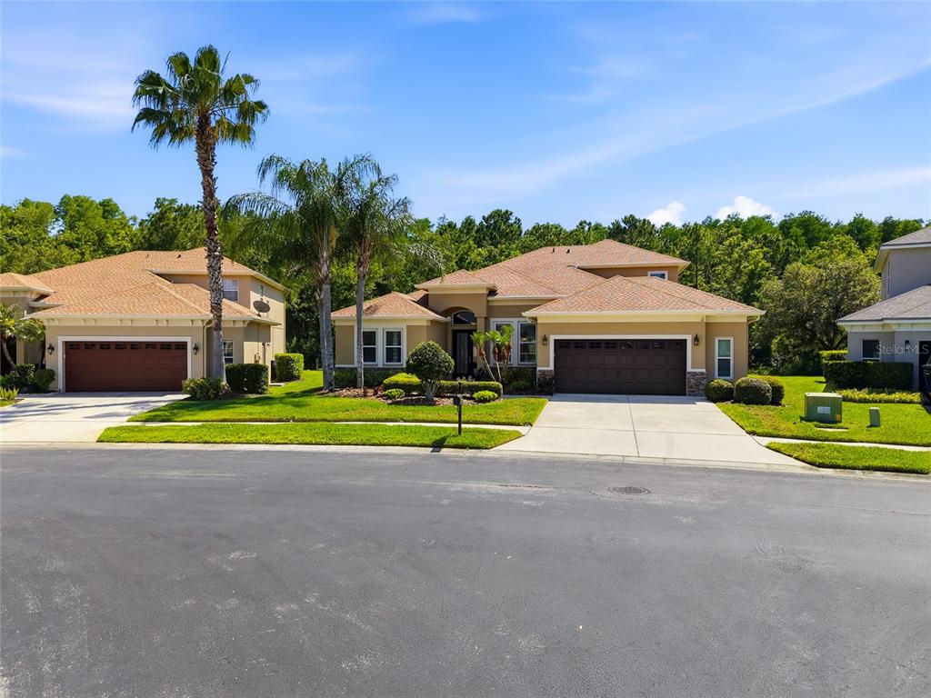 A beige single-story house with a brown garage door and a concrete driveway — 3320 GRASSGLEN PLACE, WESLEY CHAPEL, FL