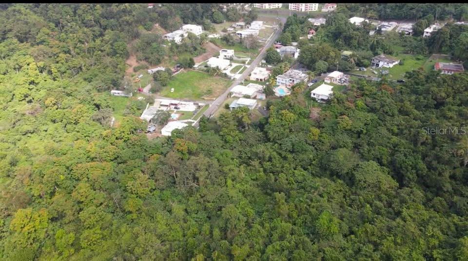 An aerial view shows a residential neighborhood nestled within a dense, green forest — Rd. 859 Km. 1.5 BO. SANTA CRUZ, CAROLINA, PR