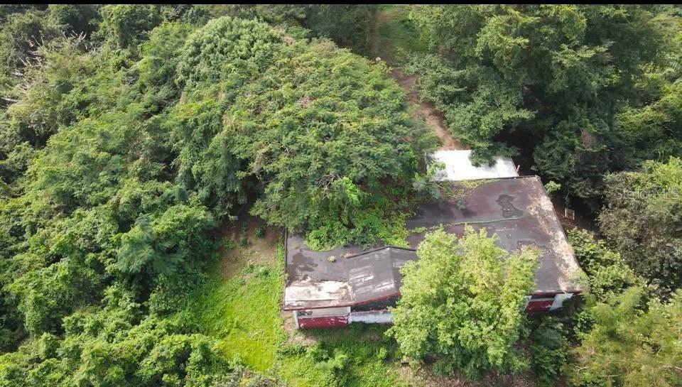 An aerial view shows a weathered, flat-roofed house partially overgrown by dense surrounding forest trees — Rd. 859 Km. 1.5 BO. SANTA CRUZ, CAROLINA, PR