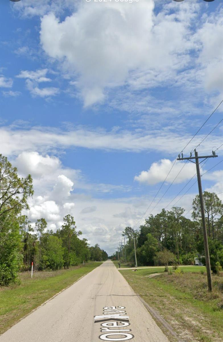 A paved road stretches into the distance, flanked by grassy shoulders and dense pine trees — 109 Moore Avenue, Lehigh Acres FL 33936, LEHIGH ACRES, FL