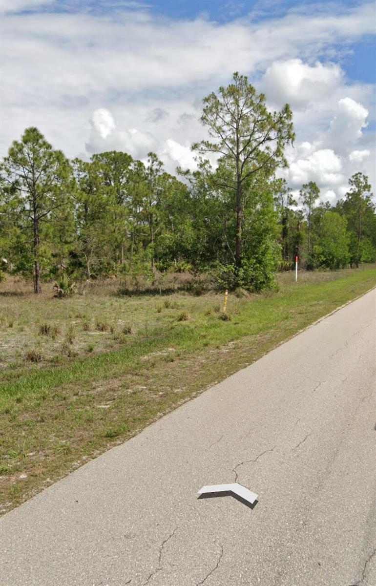 A paved road runs alongside a grassy, wooded lot with scattered pine trees — 109 Moore Avenue, Lehigh Acres FL 33936, LEHIGH ACRES, FL