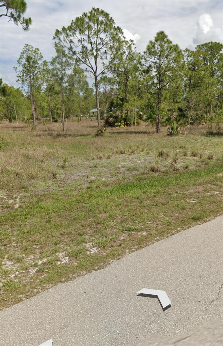A vacant, grassy lot with scattered pine trees sits adjacent to an asphalt road — 109 Moore Avenue, Lehigh Acres FL 33936, LEHIGH ACRES, FL