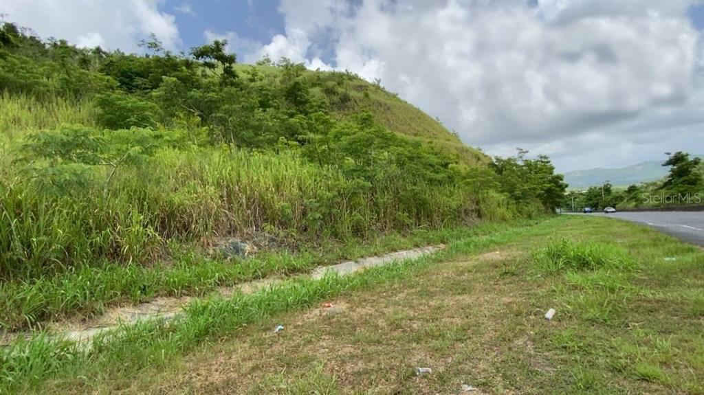 CARR 30 & CARR 203, GURABO, PR — photo 3 of 3