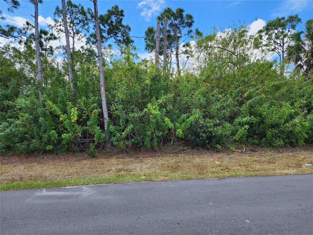 A paved road runs in front of a dense, overgrown lot with trees and shrubs — 10421 REIMS AVENUE, ENGLEWOOD, FL