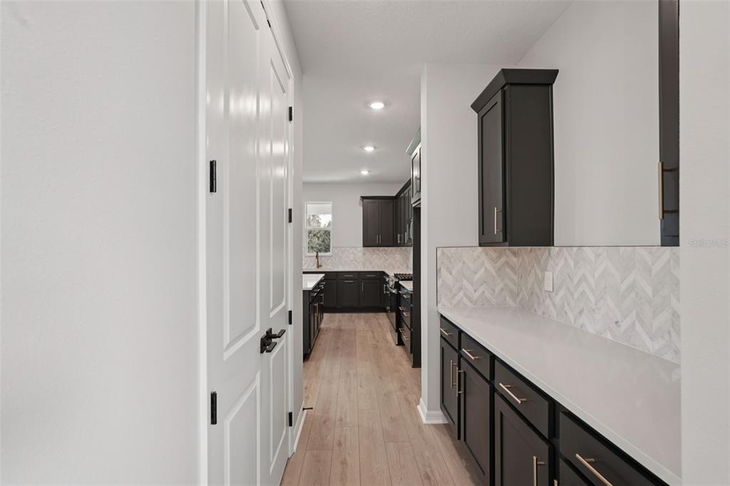 A hallway with white doors leads to a kitchen featuring dark cabinets and light countertops — 2902 CITRUS GROVE STREET, WIMAUMA, FL