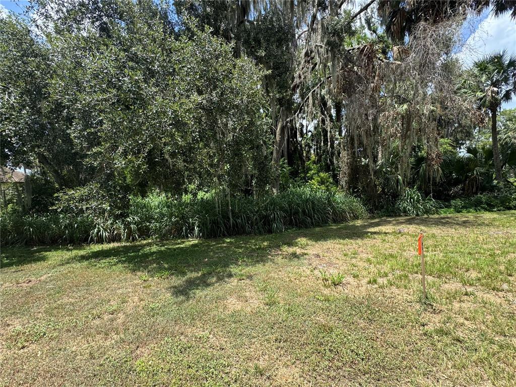 A grassy lot features a dense line of trees and tall vegetation in the background — Lot K-14 BLUE HERON CIRCLE CIRCLE, DEER ISLAND, FL
