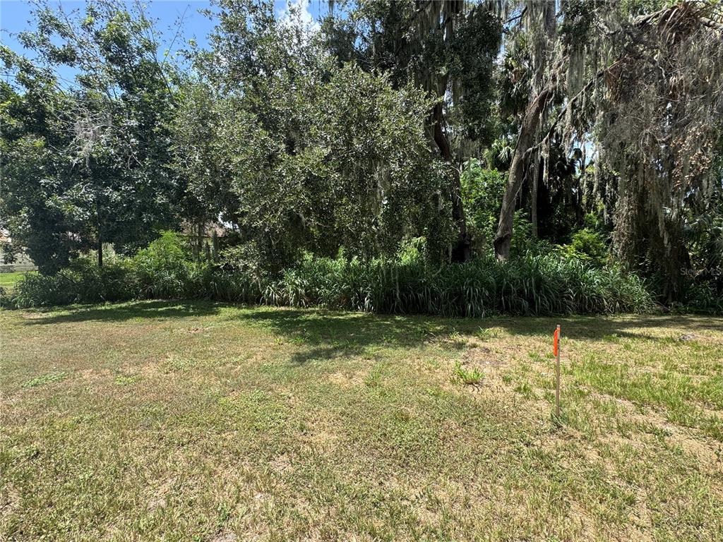 A grassy lot features a dense line of trees and shrubs with hanging Spanish moss — Lot K-14 BLUE HERON CIRCLE CIRCLE, DEER ISLAND, FL