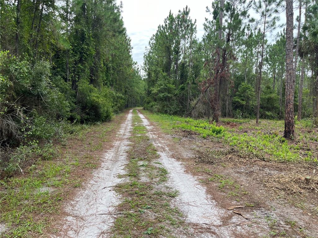 147 ROEBUCK STREET, GEORGETOWN, FL — photo 3 of 12