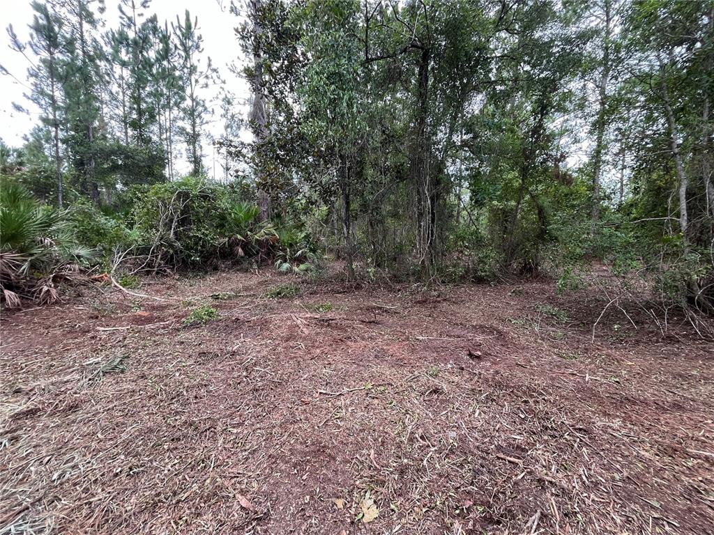 147 ROEBUCK STREET, GEORGETOWN, FL — photo 4 of 12