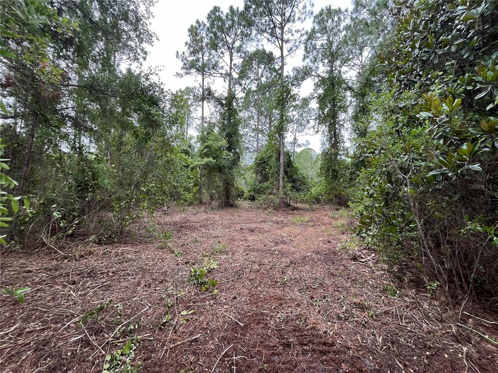 147 ROEBUCK STREET, GEORGETOWN, FL — photo 5 of 12