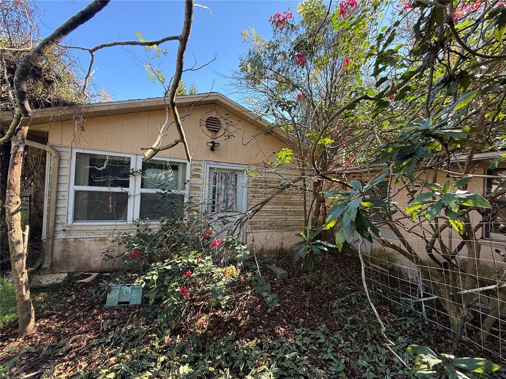 The exterior of a single-story house features light-colored siding, a front door, and overgrown landscaping — 6515 TAYLOR COURT, NEW PORT RICHEY, FL