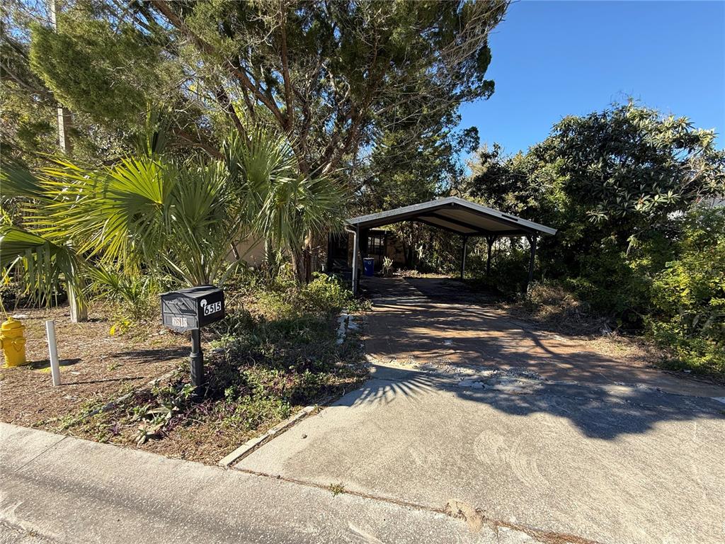 A driveway with a metal carport leads to a house obscured by trees and vegetation — 6515 TAYLOR COURT, NEW PORT RICHEY, FL