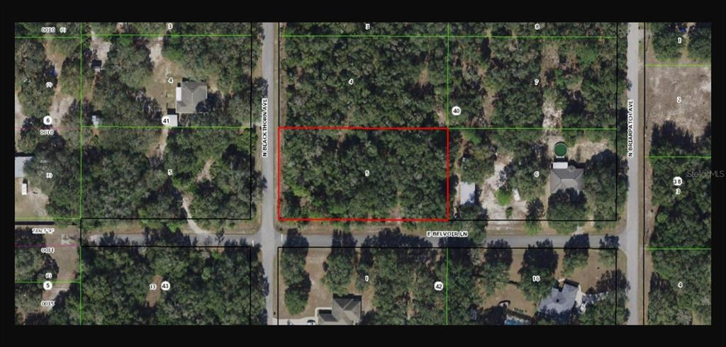 This is an aerial map showing a rectangular plot of land outlined in red — 8621 N BLACKTHORN AVENUE, CRYSTAL RIVER, FL