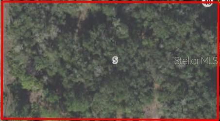 This aerial view shows a rectangular, wooded plot of land outlined in red — 8621 N BLACKTHORN AVENUE, CRYSTAL RIVER, FL