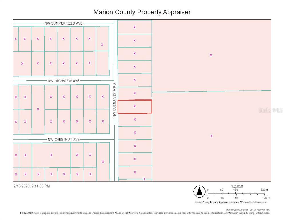 This is a property tax map showing land parcels along NW Buena Vista Road — 0 NW BUENA VISTA RD, DUNNELLON, FL