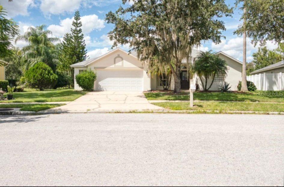 A single-story house with a two-car garage, a concrete driveway, and mature trees in front — 29619 ALLEGRO DRIVE, WESLEY CHAPEL, FL