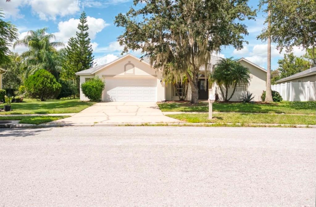 A single-story house with a two-car garage, a paved driveway, and mature trees — 29619 ALLEGRO DRIVE, WESLEY CHAPEL, FL